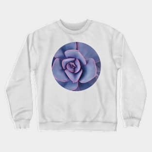 Purple Pearl Crewneck Sweatshirt